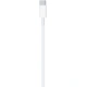 Apple cable USB-C - Lightning, 1m, white
