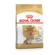 Royal Canin Yorkshire Ageing 8+ (3kg)