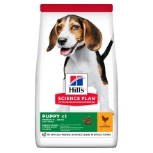 HILL'S SP Canine Puppy Medium Chicken - 18 kg